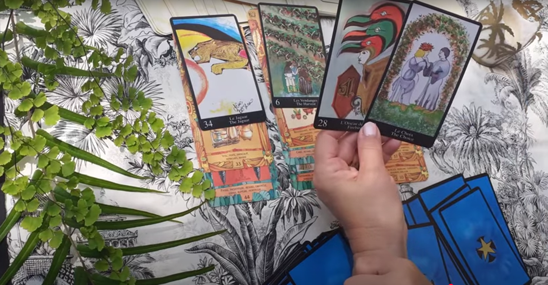 Présidentielles anticipées ( extrait ) Tarot des Mayas