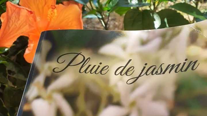 Instant lecture : mon roman " Pluie de jasmin ", Pondichéry 1938, Extrait
