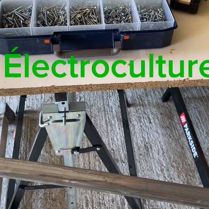 Essai d’électroculture en grand dans le potager